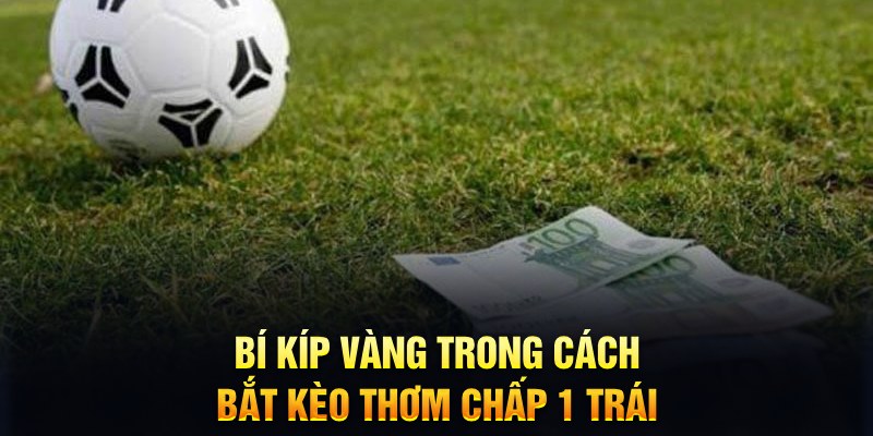 sodo17 sòng bạc tỷ lệ bóng đá